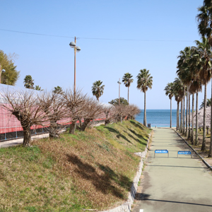 マリッサベリーファーム 外観・眺望