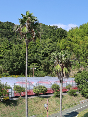 TSUTAYA BOOKSTORE 常総インターチェンジ